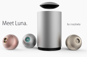 Meet Luna image